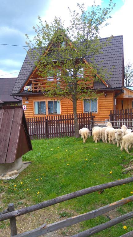 Pokoje U Sarnowskich Kościelisko Kültér fotó