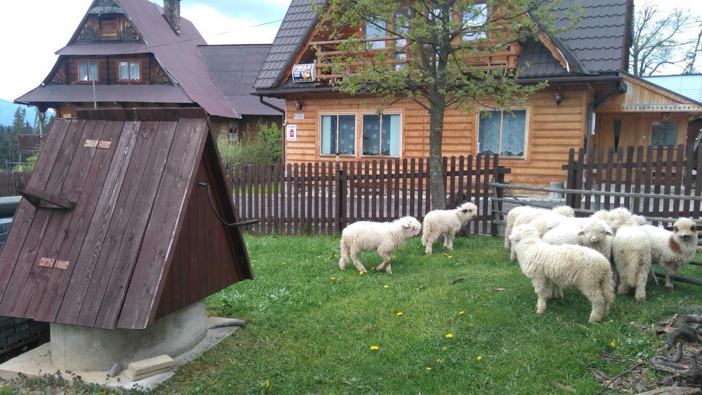 Pokoje U Sarnowskich Apartman Kościelisko Kültér fotó