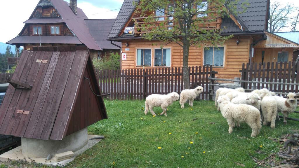 Pokoje U Sarnowskich Kościelisko Kültér fotó
